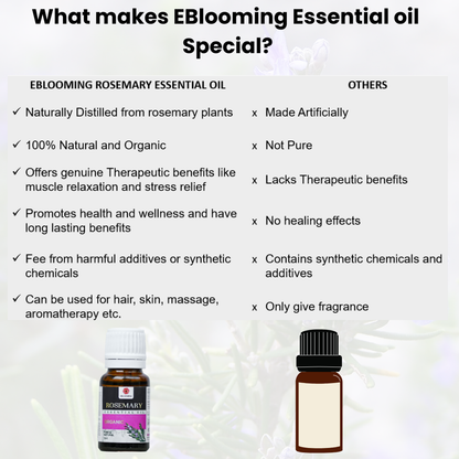 Clinically Tested Rosemary Essential Oil