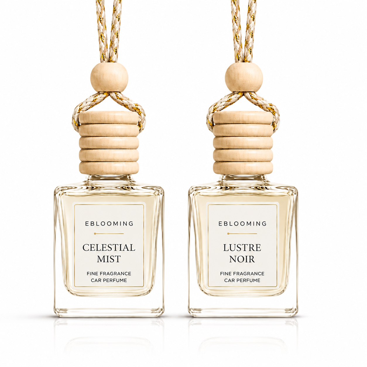Celestial Mist & Lustre Noir Hanging Fragrance Diffuser Pack of 2