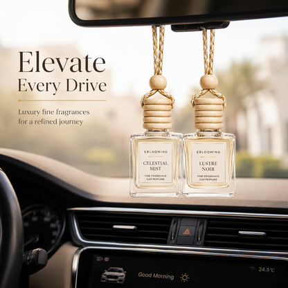 Celestial Mist & Lustre Noir Hanging Fragrance Diffuser Pack of 2