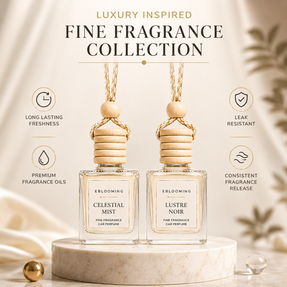 Celestial Mist & Lustre Noir Hanging Fragrance Diffuser Pack of 2