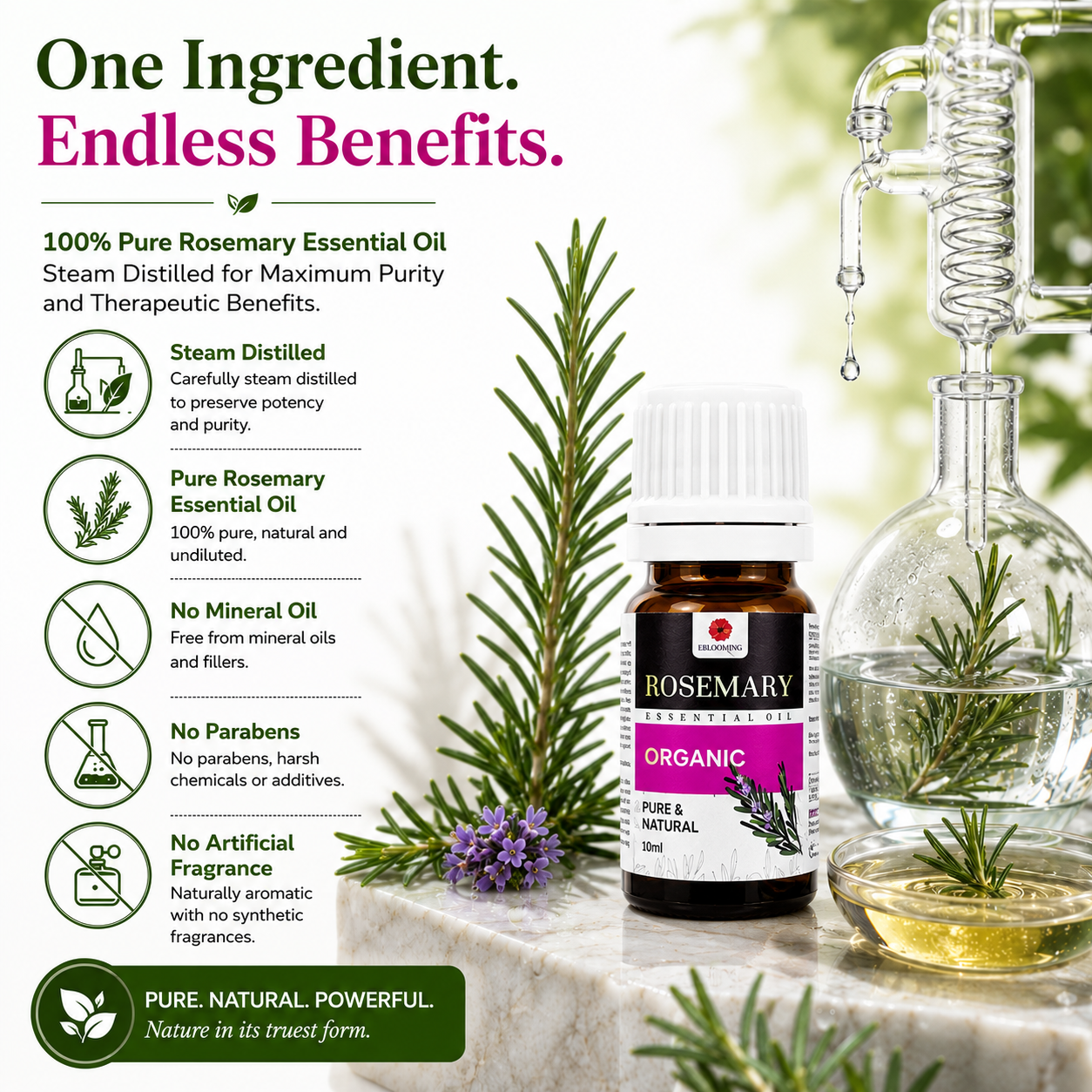 Clinically Tested Rosemary Essential Oil