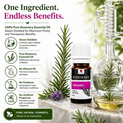 Clinically Tested Rosemary Essential Oil
